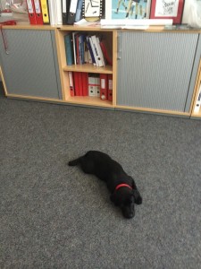 Fiete-büro
