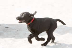 fiete-am-Strand-0040