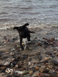 Fiete im Wasser
