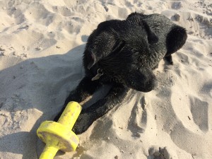 sandfiete_surendorf1