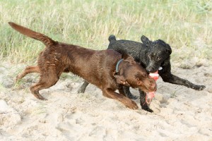 fiete_paul-8173